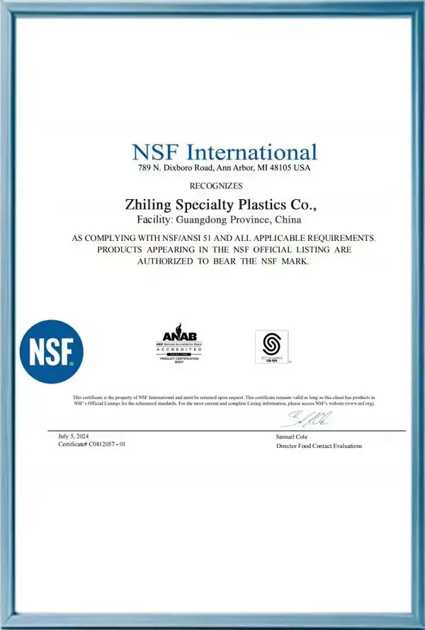 Supporting NSF-related technical document